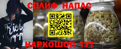 бошки Гатчина