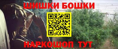 бошки Гатчина
