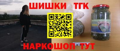 бошки Гагарин