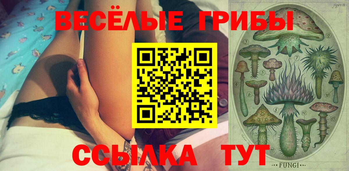 Галлюциногенные грибы прущие грибы Абинск