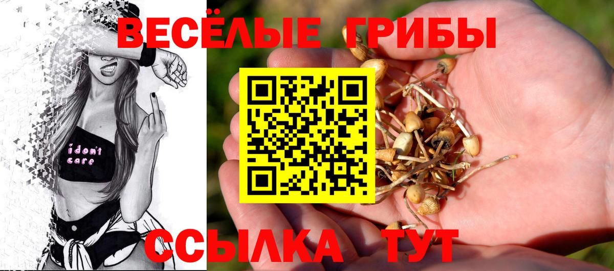 Галлюциногенные грибы Psilocybine cubensis Абинск